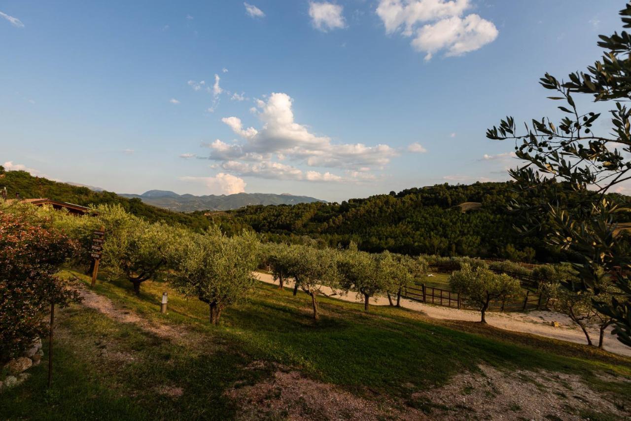 Agriturismo AgrileisureTime Spoleto Exterior foto