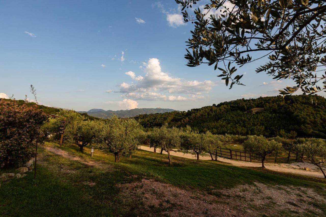 Agriturismo AgrileisureTime Spoleto Exterior foto