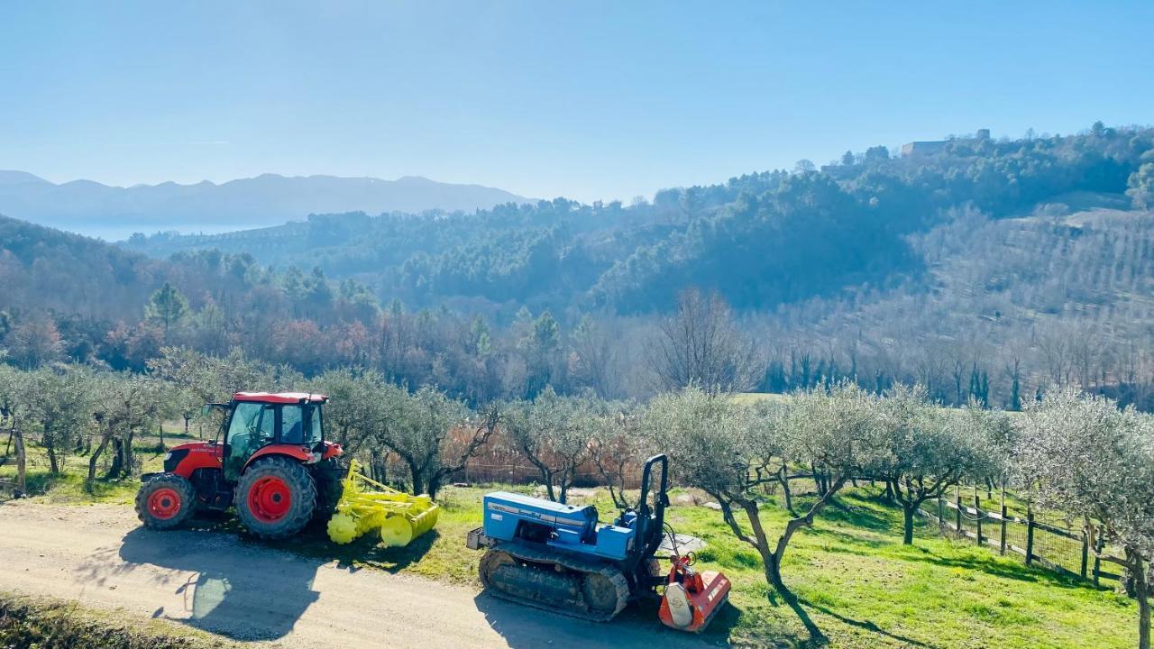 Agriturismo AgrileisureTime Spoleto Exterior foto